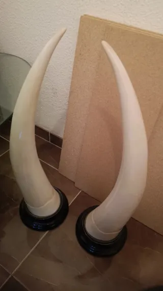 Cuernos de elefante decorativos