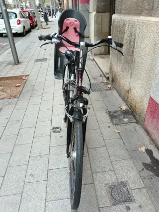 Bicicleta Raleigh con sillita infantil