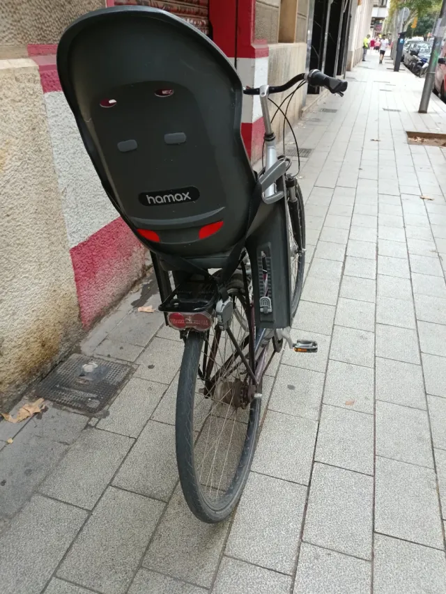 Bicicleta Raleigh con sellina per bambini
