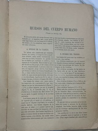 1904 El cuerpo humano