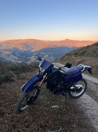 suzuki 49cc