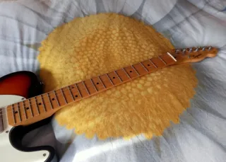 CAMBIO Guitarra Eléctrica Telecaster