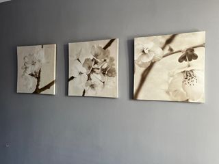 Set de 3 cuadros de flores