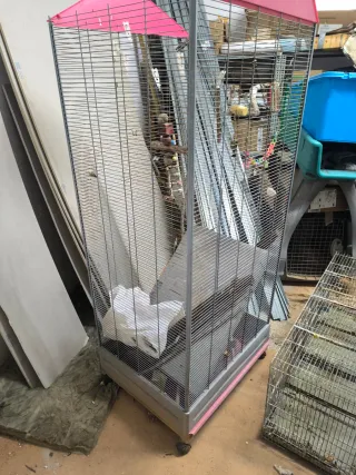 Jaula grande para periquitos, ninfas o agapornis