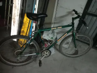 Bicicleta Montaña Verde MTB 250