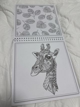 Cuaderno de colorear para adultos