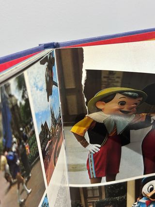 Libro “La Magia de Disneylandia y de El Mundo de W