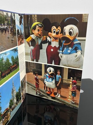 Libro “La Magia de Disneylandia y de El Mundo de W