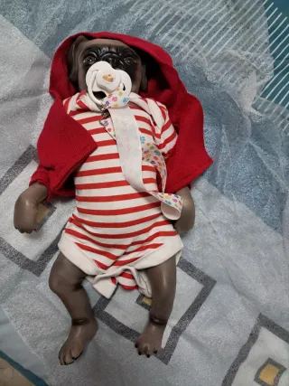 Muñeco Perro Pug Bebé