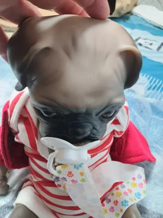 Muñeco Perro Pug Bebé