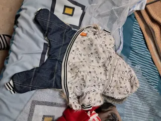 Muñeco Perro Pug Bebé