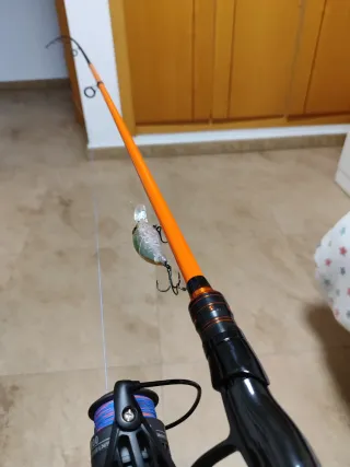 Spinning carbono 210cm más 3000