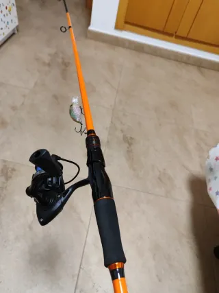 Spinning carbono 210cm más 3000