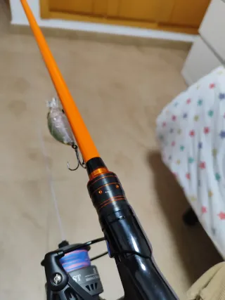 Spinning carbono 210cm más 3000