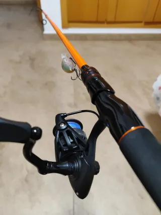 Spinning carbono 210cm más 3000