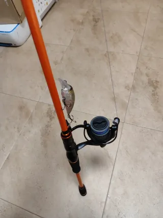 Spinning carbono 210cm más 3000