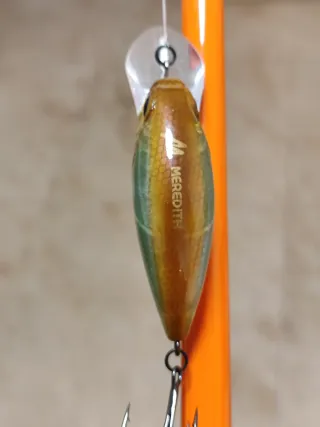 Spinning carbono 210cm más 3000