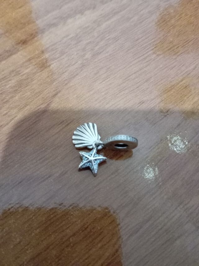 Char Pandora Concha y Estrella de Mar