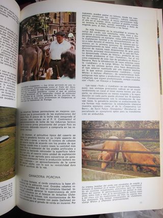 Eusko Lurra. Geografía del País Vasco