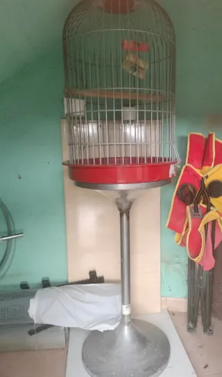 Jaula para loro con pie