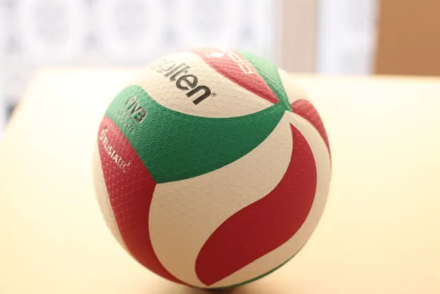 Balón de voleibol Molten.