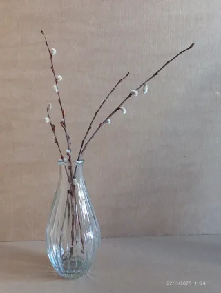 Jarrones de cristal transparente - lote de 3