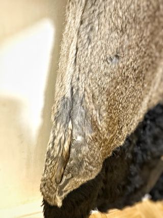 Chaqueta o abrigo de piel de Maje