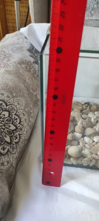 Terrario o acuario pequeño con piedras o sin ellas