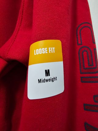 Felpa Carhartt con cappuccio e logo