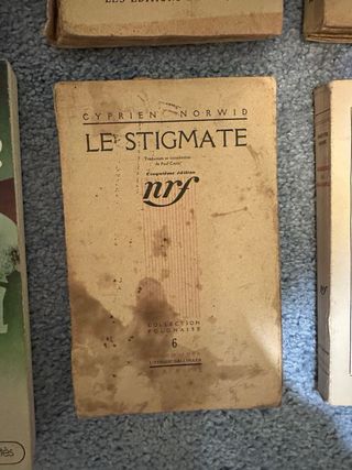 Lote 14 livros Franceses