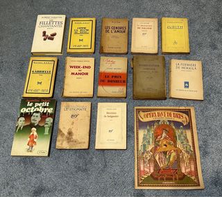 Lote 14 livros Franceses