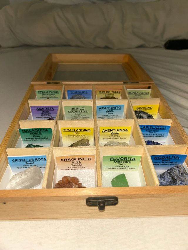 Collezione di minerali in scatola di legno