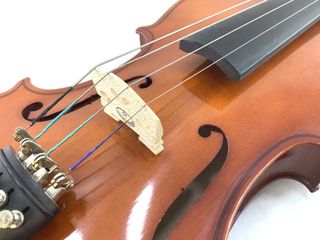 viola st antonio 2005