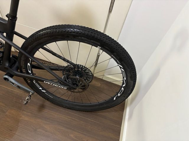 Specialized World Champion Expert