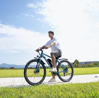 Bicicleta Eléctrica 29 15.6Ah 90km