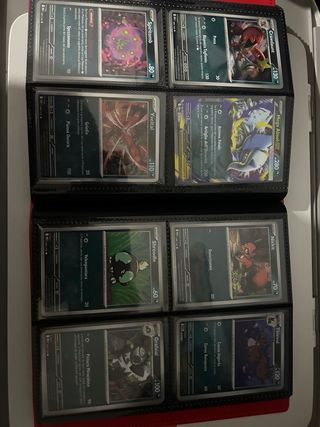 Raccoglitore Pokémon Mega Evoluzione