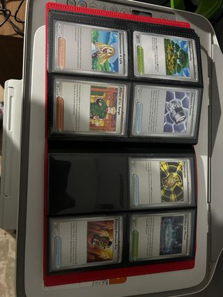 Raccoglitore Pokémon Mega Evoluzione