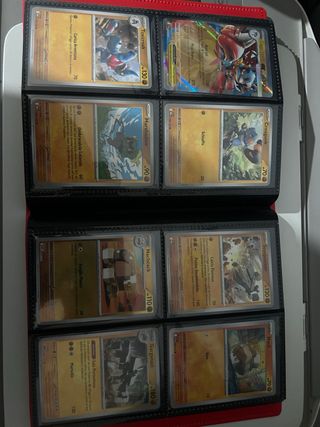 Raccoglitore Pokémon Mega Evoluzione