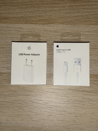 Caricatore iPhone + Cavo USB-Lightning Originale