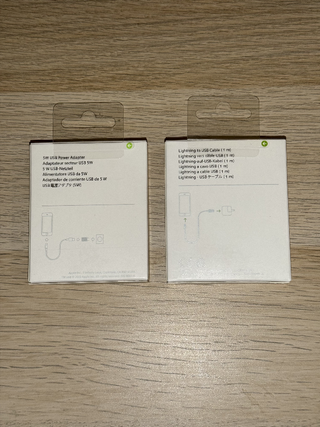 Caricatore iPhone + Cavo USB-Lightning Originale