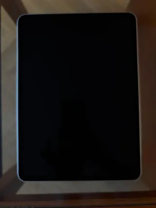 iPad Pro 11 4ª Gen Plata