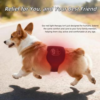 Warmforwel Cinturón terapia luz roja y calefacción