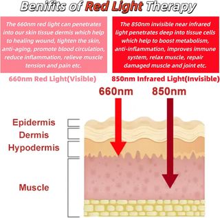Warmforwel Cinturón terapia luz roja y calefacción