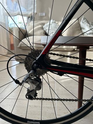 Bicicleta Orbea Avant Carbono T.57