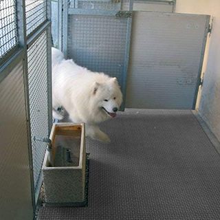 Tarima Desmontable Plataki Iroko 30x30 12u 3.6m2