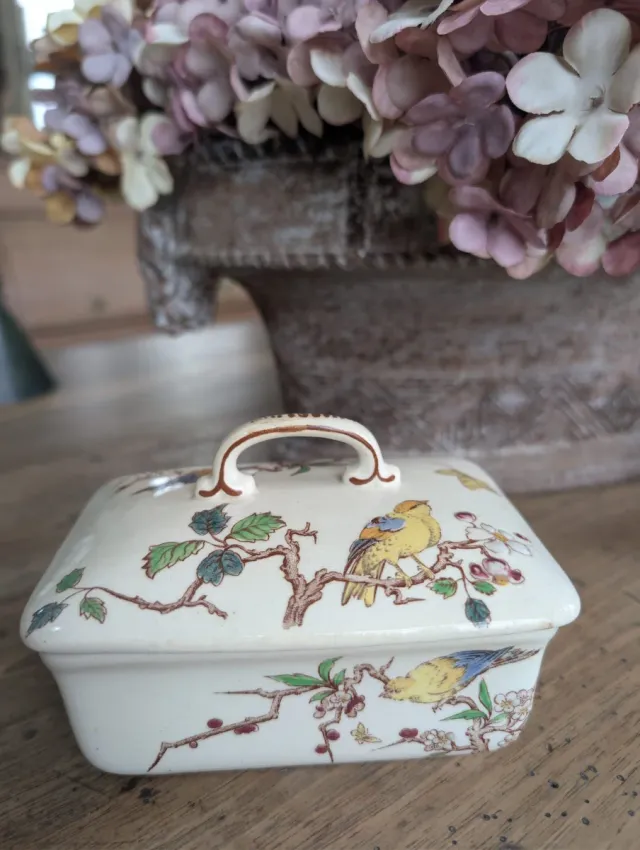 Antico portasapone in porcellana con uccelli