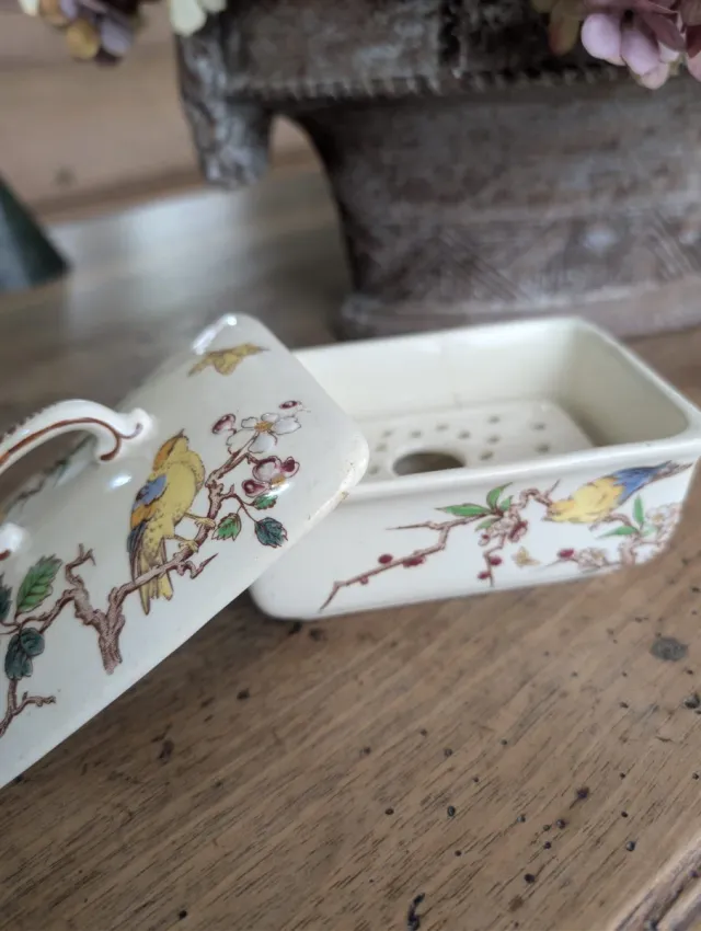 Antico portasapone in porcellana con uccelli