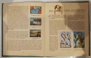 Las Maravillas Del Universo. Nestle. Álbum cromos