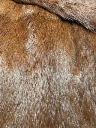 Abrigo Piel Marrón Vintage Brown Genuine