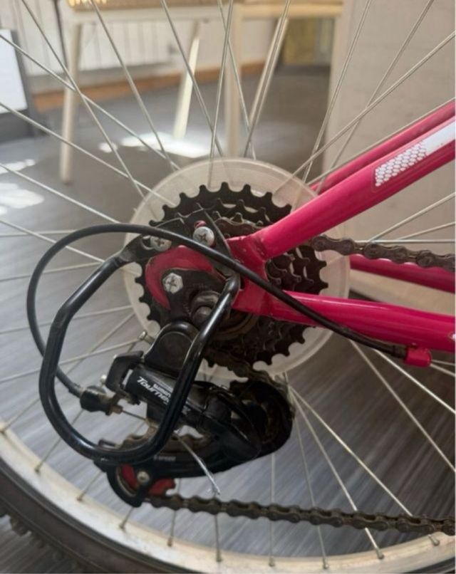 Bicicleta BTT marca B-Pro 24 “